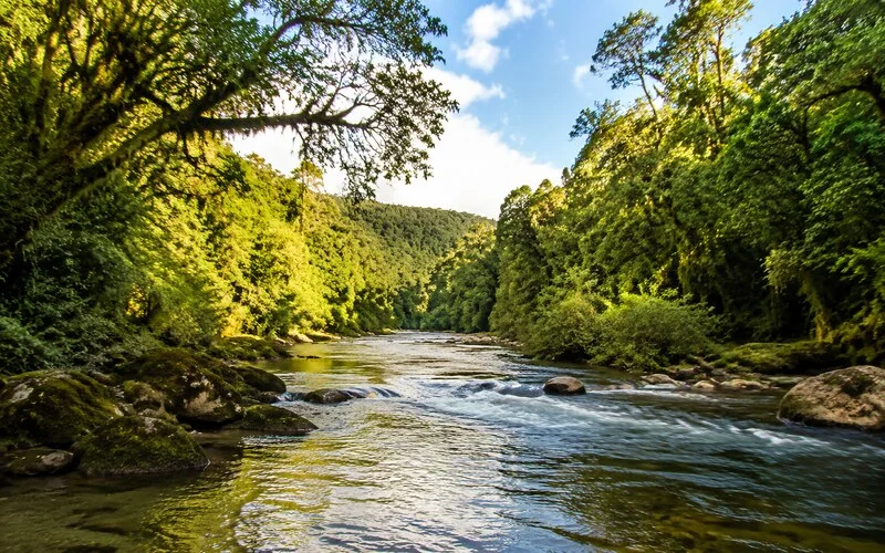 Direito Ambiental - souzaeaugustin